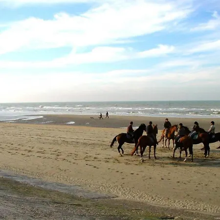 Havenzicht In Lejlighed Blankenberge
