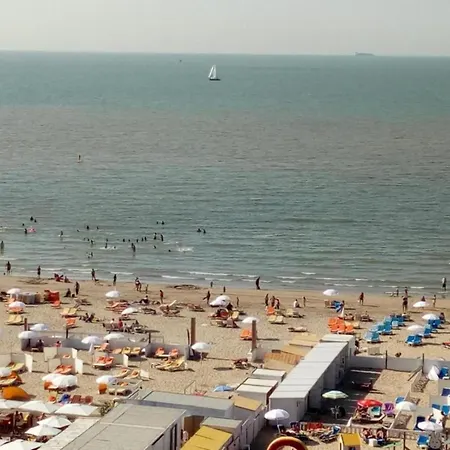 Havenzicht In